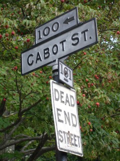 Cabot St at Singletree Rd Sign