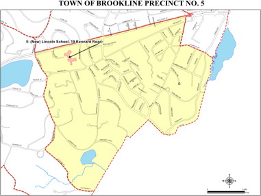 Precinct 5 Map